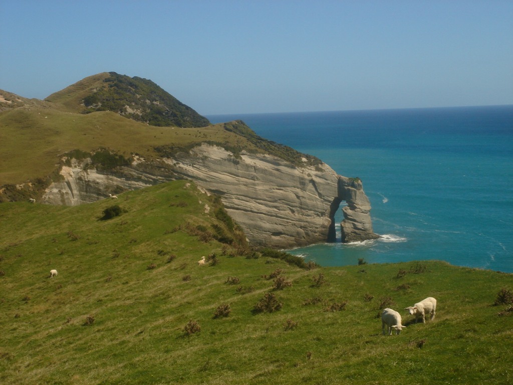 Wharariki, Farewell Spit 