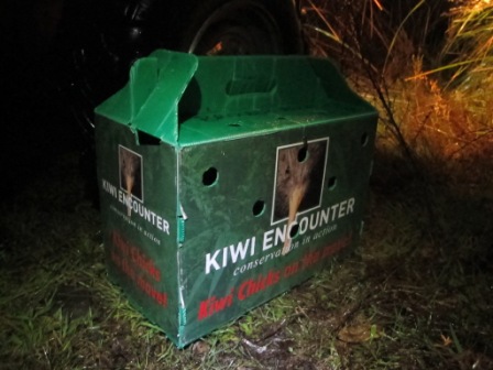 Caja de transporte de Pequeño Kiwi