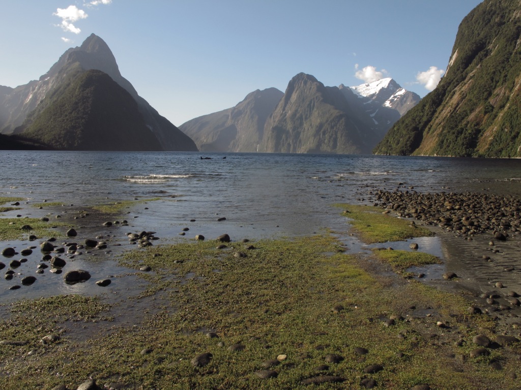 Milford Sound Fiordland