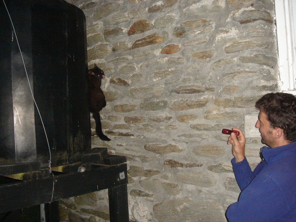 Hiker playing with a possum