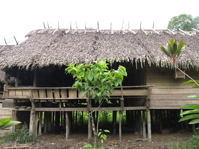 Casa típica elevada en Siberut