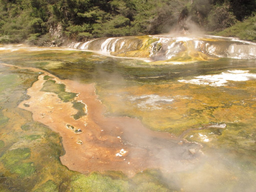 Aguas termales cerca de Rotorua