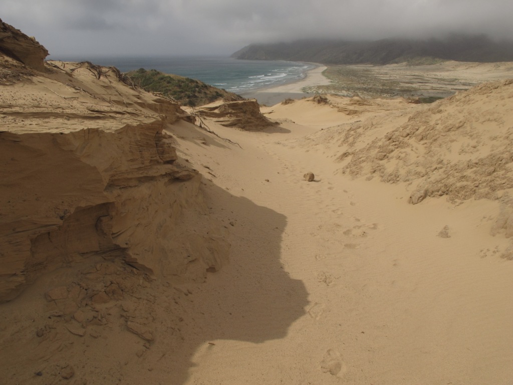  Cape Reinga Northland