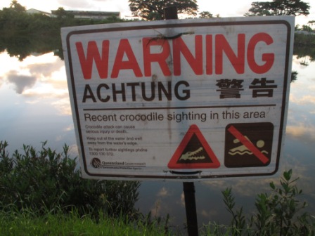 Warning crocodile