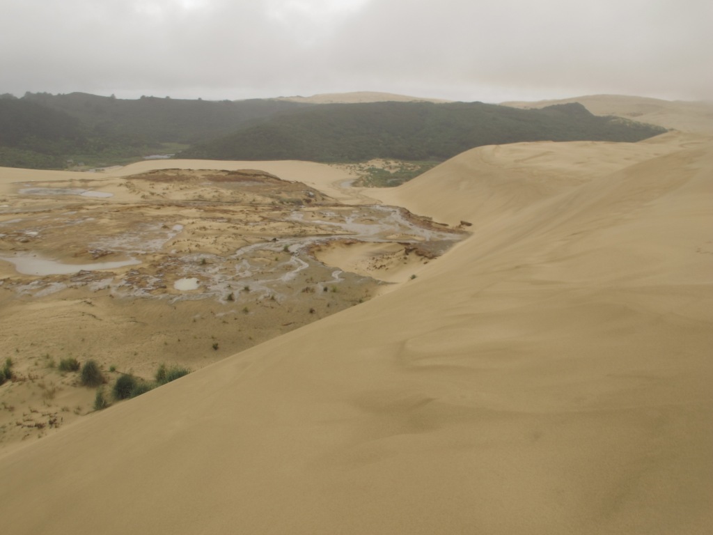 Te Paki Dunas de Arena Northland