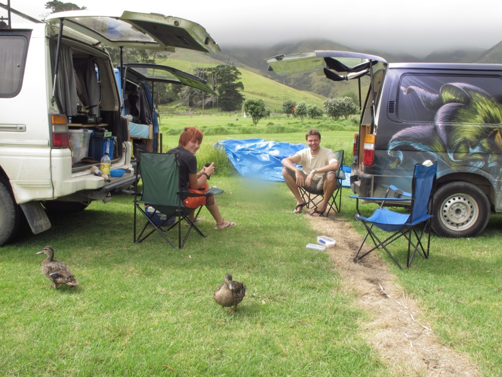 backpackers van new zealand