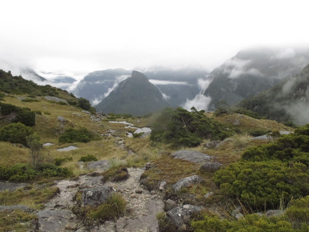 Paisaje en Fiordland