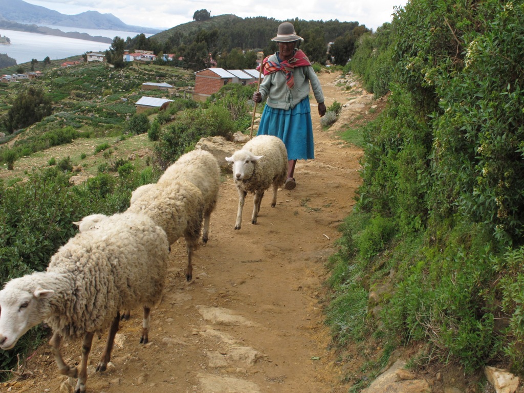 Shepherdess in the southern part of Isla del Sol