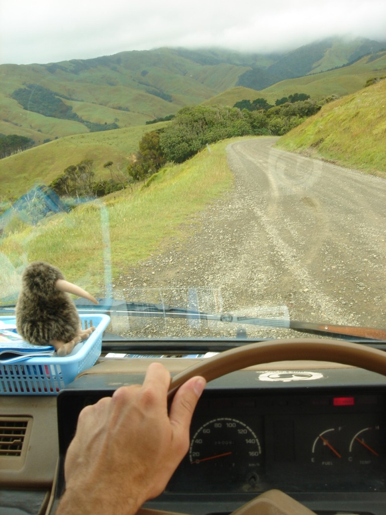 driving New zealand